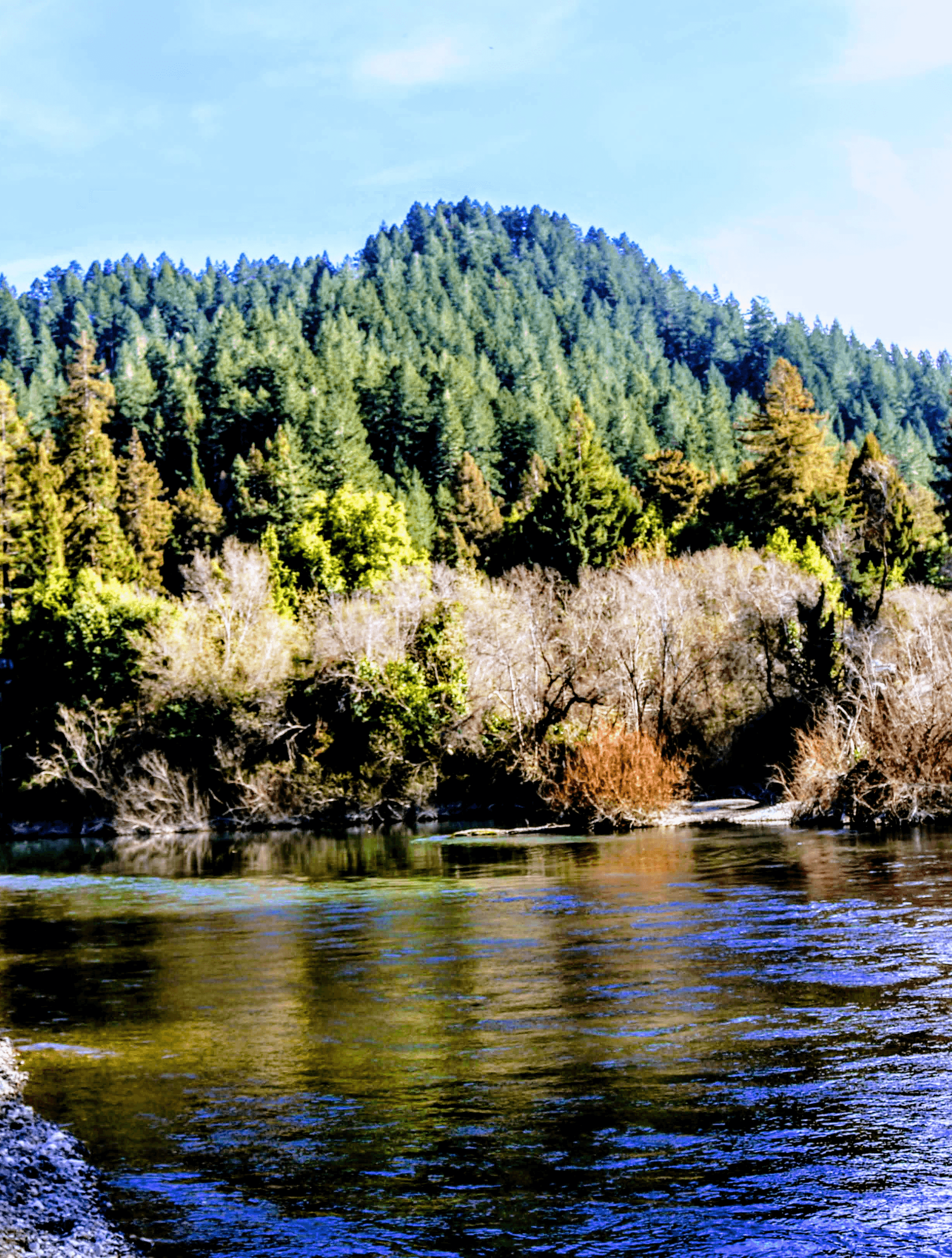 Background image of login banner page